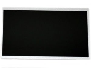 10.1'' LCD Ekran,  M101GWN9 R2