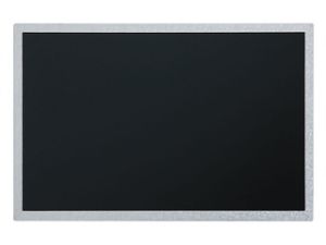 10.1'' LCD Ekran,  EV101WXM-N81