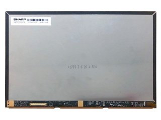 10.1'' LCD Ekran,  LQ101R1SX01A