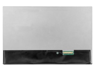 10.1'' LCD Ekran,  TM101JDHG38