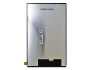 10.1'' LCD Ekran,  TV101WXM-NLB