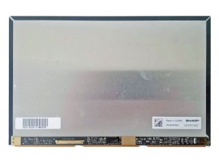 10.1'' LCD Ekran,  LQ101R1JX02