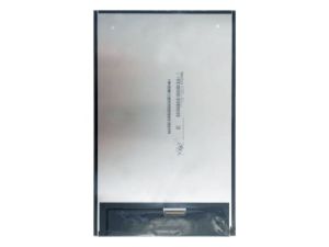 10.1'' LCD Ekran,  P101SFA-AF0