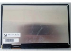 10.1'' LCD Ekran,  LQ101R1JX03