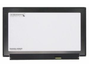 13.3'' LCD Panel, R133NWF4 R5 (IVO0536)