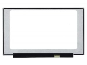 15.6'' LCD Panel, N156HCE-EN1 (CMN15E8)
