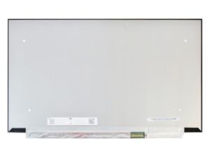 15.6'' LCD Panel, N156HCG-GQ1 (CMN1519)