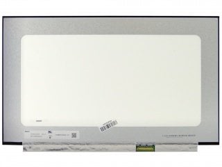 15.6'' LCD Panel, N156HCN-EAA (CMN1505)