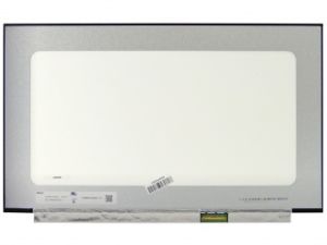 15.6'' LCD Panel, N156HCN-EAA (CMN1505)