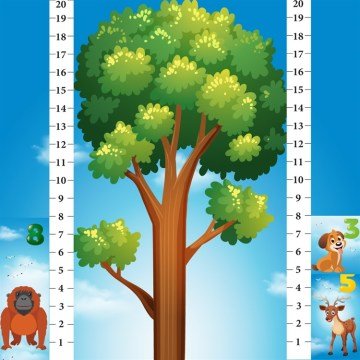 Learned Games Math Forest Matematik Oyunu