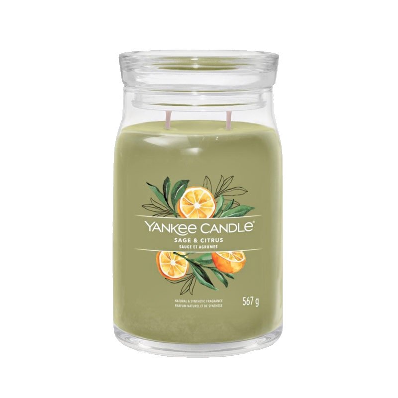 1629961E Büyük Mum Sage-Citrus