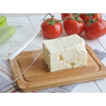Novita Peynir Saklama Kabı - B2274
