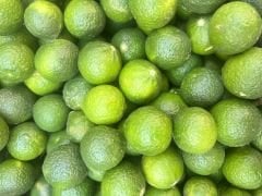 Yeşil Bodrum Mandalini 1 kg