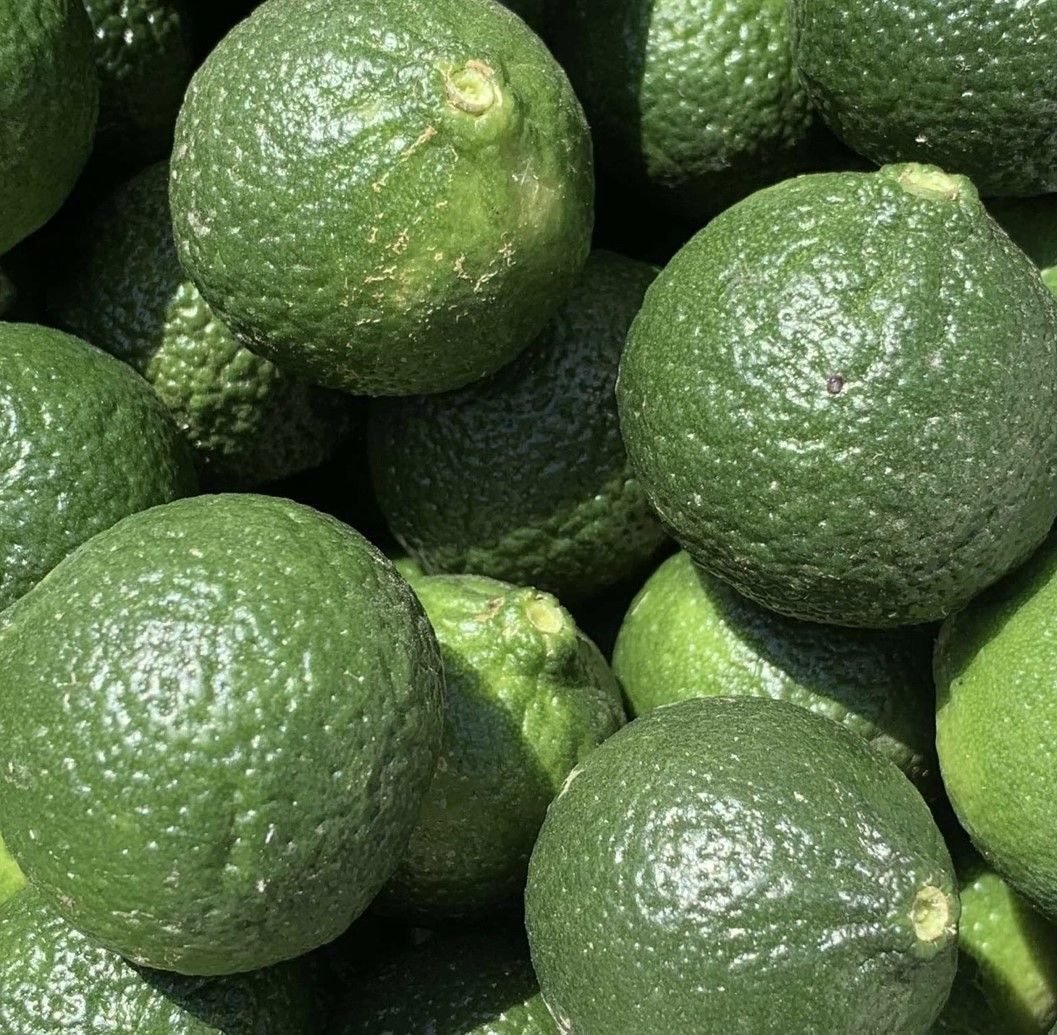 Yeşil Bodrum Mandalini 10 kg