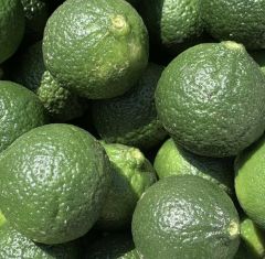 Yeşil Bodrum Mandalini 10 kg