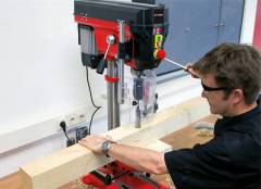 Einhell TE-BD 750 E Tezgah Matkap 750W 4250715