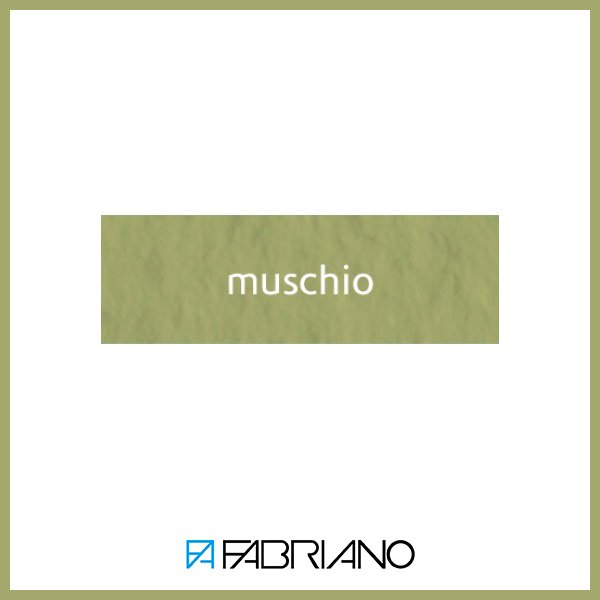 Fabriano - Tiziano 160gr  Muschio 1014