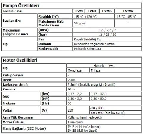 Ebara EVM45  9-2F5/30   40Hp 380V  Dikey Milli Çok Kademeli Paslanmaz Çelik Pompa (AISI 304)