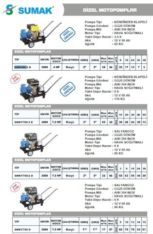 SUMAK DSM300/2 D 3000 DEVİR 4 HP MARŞLI DİZEL SU POMPASI