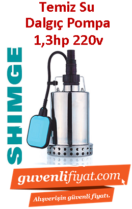 SHIMGE CSP900 CİNOX-3 1,3hp 220V Paslanmaz Gövdeli Temiz su Dalgıç Pompa