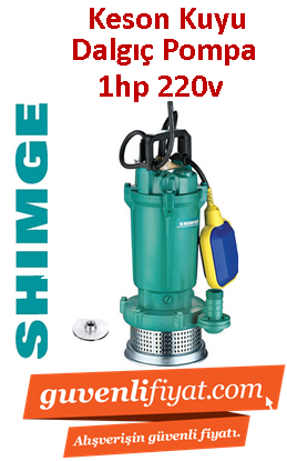 SHIMGE QDX15-32-0.75K1 1HP 220V Döküm Gövdeli Keson Kuyu Dalgıç Pompa