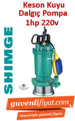 SHIMGE QDX15-32-0.75K1 1HP 220V Döküm Gövdeli Keson Kuyu Dalgıç Pompa