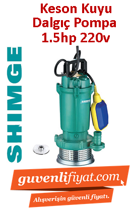 SHIMGE QDX15-14-1.1K1 1.5HP 220V Döküm Gövdeli Keson Kuyu Dalgıç Pompa