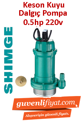 SHIMGE QDX1.5-17-0.37T 0:5hp 220V Döküm Gövdeli Keson Kuyu Dalgıç Pompa