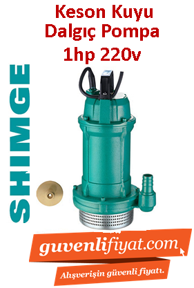 SHIMGE QDX3-24-0.75T 1hp 220V Döküm Gövdeli Keson Kuyu Dalgıç Pompa