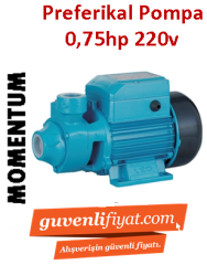 MOMENTUM PKM 70 0.75Hp 220V Preferikal Sürtme Fanlı Pompa