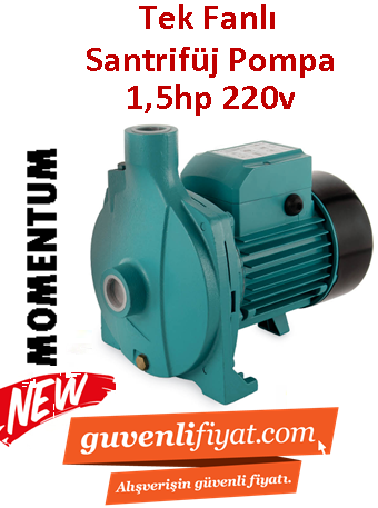 MOMENTUM PCm/170-1 1.5Hp 220v Döküm Gövdeli Tek Fanlı Santrifüj Pompa