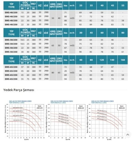 Empo  EMS-65/250     40 Hp  380V   Tek Kademeli Salyangoz Gövdeli Norm Pompa (2900 d/d)