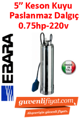 EBARA IDROGO M40/08 A 220V 1.5HP 5'' Paslanmaz Çelik Keson Kuyu Dalgıç Pompa