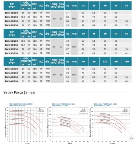 Empo  EMS-100/250     75 Hp  380V   Tek Kademeli Salyangoz Gövdeli Norm Pompa (2900 d/d)