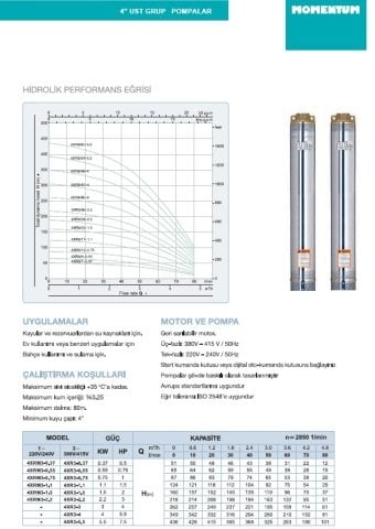 Momentum 4XRM3-1.5    2Hp 220V   4'' Dalgıç Pompa (Tek Pompa)