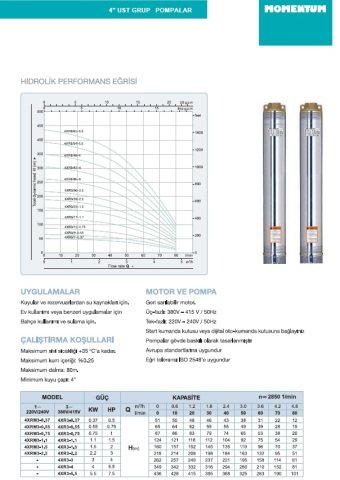 Momentum 4XR3-3    4Hp 380V   4'' Dalgıç Pompa (Tek Pompa)