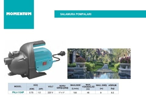 Momentum PKJ-1104P    1Hp 220V  Salamura Pompası