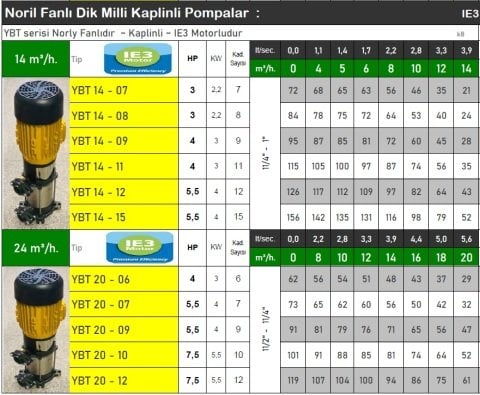 VORTEX YBT 20-09  5.5HP 380V  ÇOK KADEMELİ NORİL FANLI DİK MİLLİ KAPLİNLİ POMPA