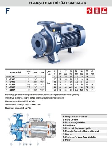F 40/160B 4.HP 380V FLANŞLI SANTRİFÜJ POMPA