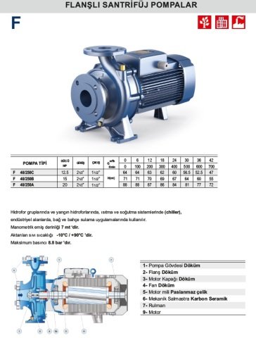 F 40/250C 12.5 HP 380V FLANŞLI SANTRİFÜJ POMPA