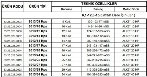 Alarko 6013/25 Kps  30Hp  6\'\' Paslanmaz Derin Kuyu Dalgıç Pompa (Motor+Pompa) ALK-KPS Serisi