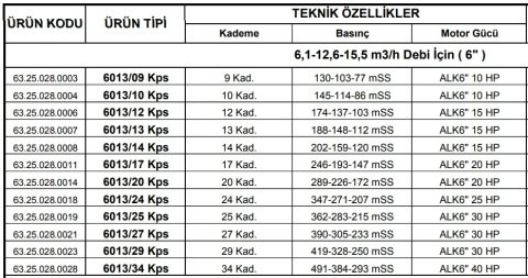 Alarko 6017/32 Kps  25Hp  6'' Paslanmaz Derin Kuyu Dalgıç Pompa (Motor+Pompa) ALK-KPS Serisi
