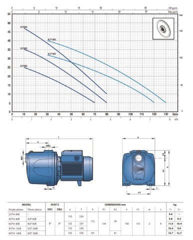 PEDROLLO 4CPm 80C 0.75HP 220 V (SESSİZ) DÖKÜM GÖVDELİ JET POMPA