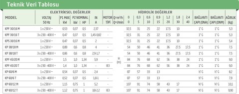 Dab  KPS 30/16 M    0.37kW  220V  Bronz Çarklı Periferik Pompa