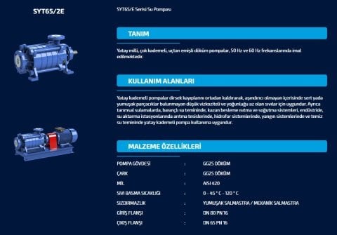 SUMAK  SYT 65/3E   55kW 380V   YATAY MİLLİ KADEMELİ UÇTAN EMİŞLİ POMPA