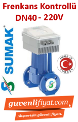 Sumak SSP 40-12 INV DN40 220V Flanşlı Frekans Kontrollü Sirkülasyon Pomapası