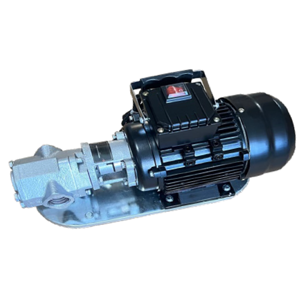 Water Sound WCB-100M Dişli Yağ Transfer Pompası