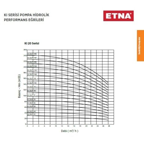 Etna KI 5/4-0.75    1Hp 380V  Dik Milli Komple Paslanmaz Çelik Çok Kademeli Santrifüj Pompa