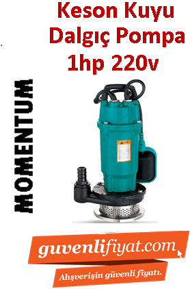 MOMENTUM PDX1.5-32/0.75 1hp 220v Temiz Su Keson Kuyu Dalgıç Pompa ( Yüksek İrtifalı )