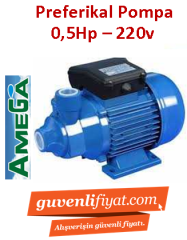 AMEGA TM 45 0.5hp 220v Preferikal Sürtme Fanlı Pompa